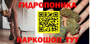 ГАЛЛЮЦИНОГЕННЫЕ ГРИБЫ Свободный