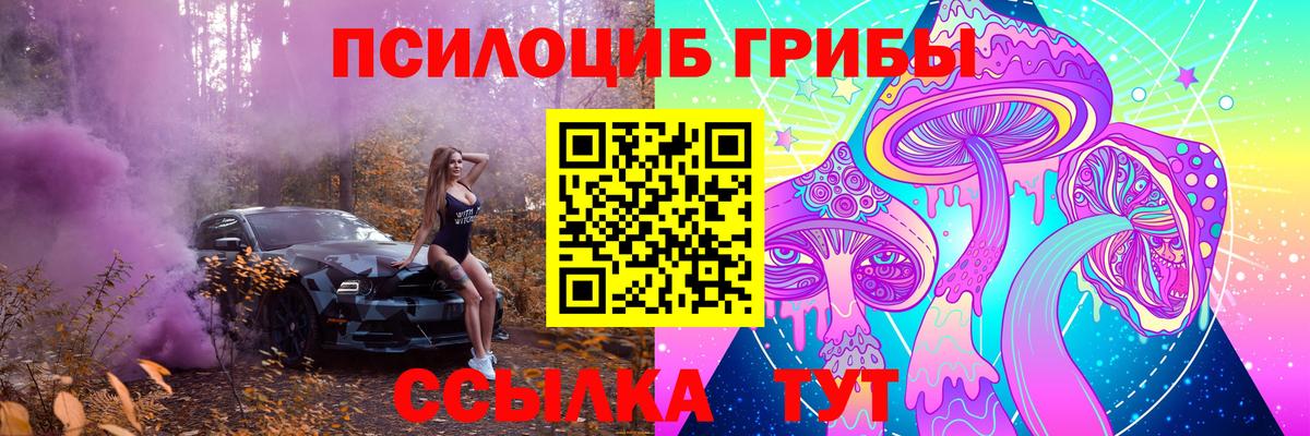 Магадан  Псилоцибиновые грибы Psilocybe  Вход с VPN 